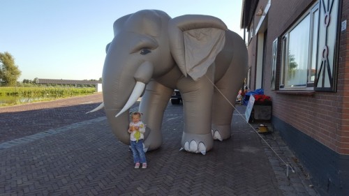 Olifant 4m